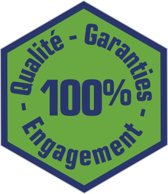 logo_QGE